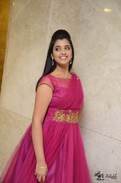 Anchor-Syamala-at-Speedunnodu-Movie-Platinum-Disc-Function